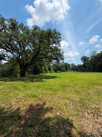 45172 Gomez Road Robert, LA 70455 - Photo 2 of 2