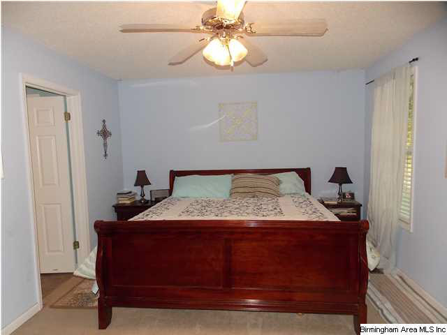 541 Red Valley Circle Remlap, AL 35133 - Photo 9 of 22
