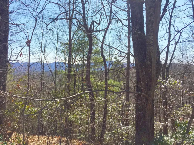 $49,000 | 102 Bollers Knob Lane, Unit 91, Hendersonville, NC 28739
