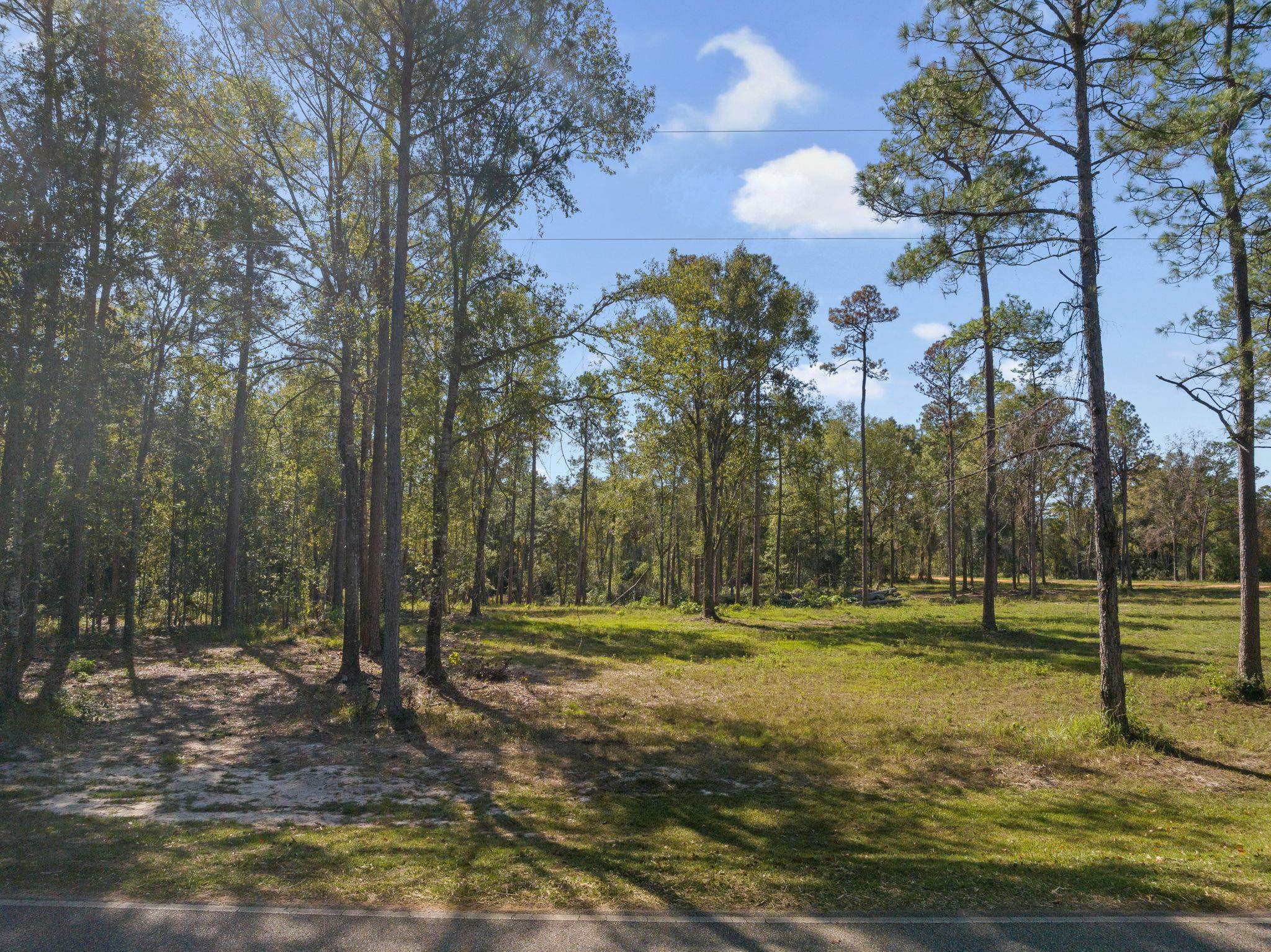 53572 Modelle Bryars Road Perdido, AL 36562 - Photo 5 of 20