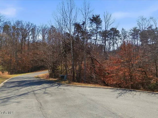 $54,995 | Lot 18 Cove Springs Drive, Unit 18, Dandridge, TN 37725