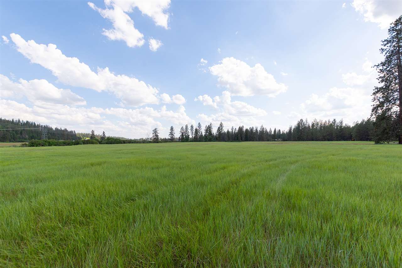 Parcel D North Elk Chattaroy Road Chattaroy, WA 99003 - Photo 2 of 20