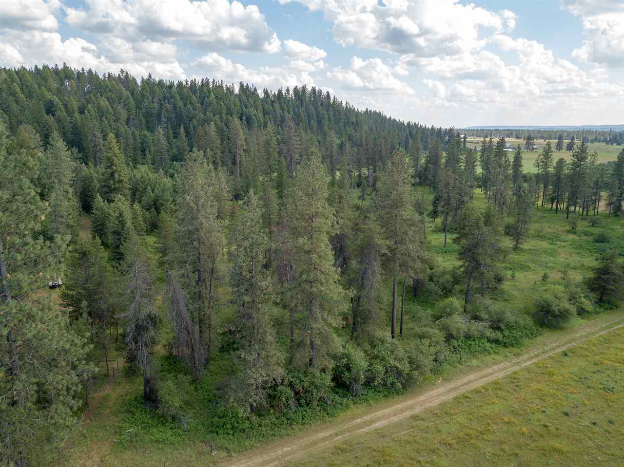 Parcel D North Elk Chattaroy Road Chattaroy, WA 99003 - Photo 12 of 20