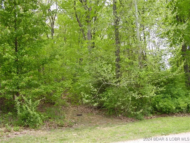 $9,000 | Lot#9 Shadow Oaks Road, Camdenton, MO 65020