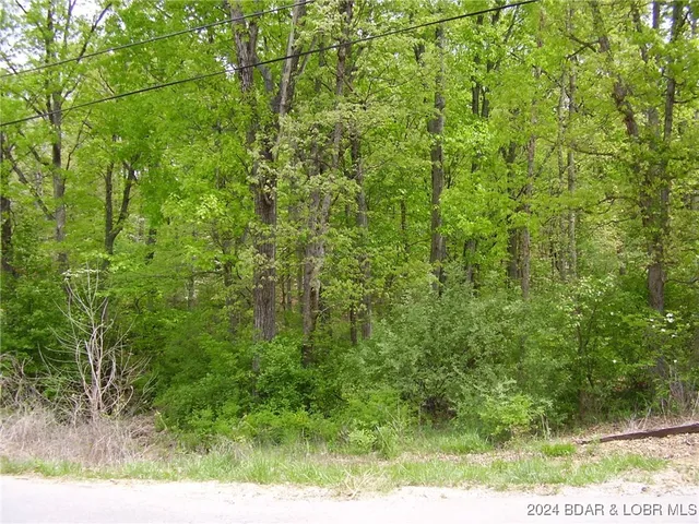 $9,000 | Lot#9 Shadow Oaks Road, Camdenton, MO 65020