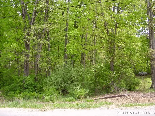$9,000 | Lot#9 Shadow Oaks Road, Camdenton, MO 65020