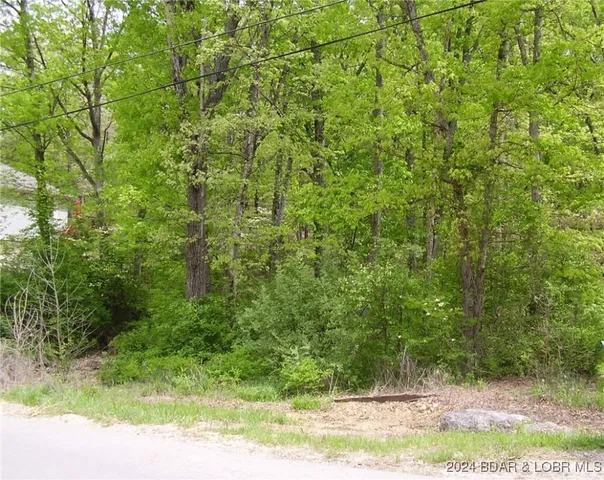 $9,000 | Lot#9 Shadow Oaks Road, Camdenton, MO 65020