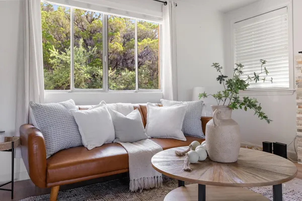 a living room with furniture and a potted plant