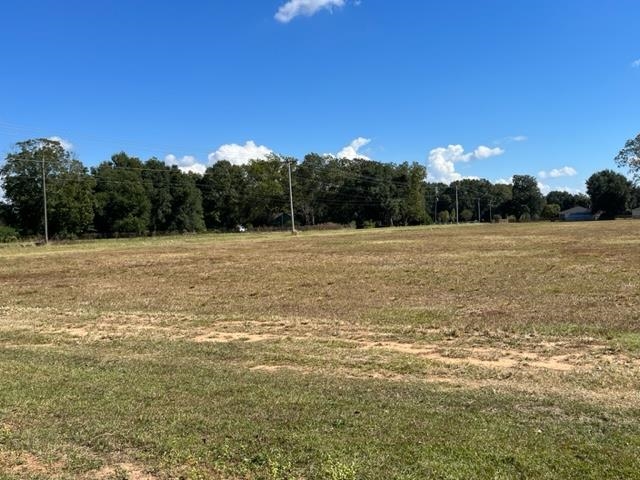 Bull Springs Road Robertsdale, AL 36567 - Photo 1 of 28