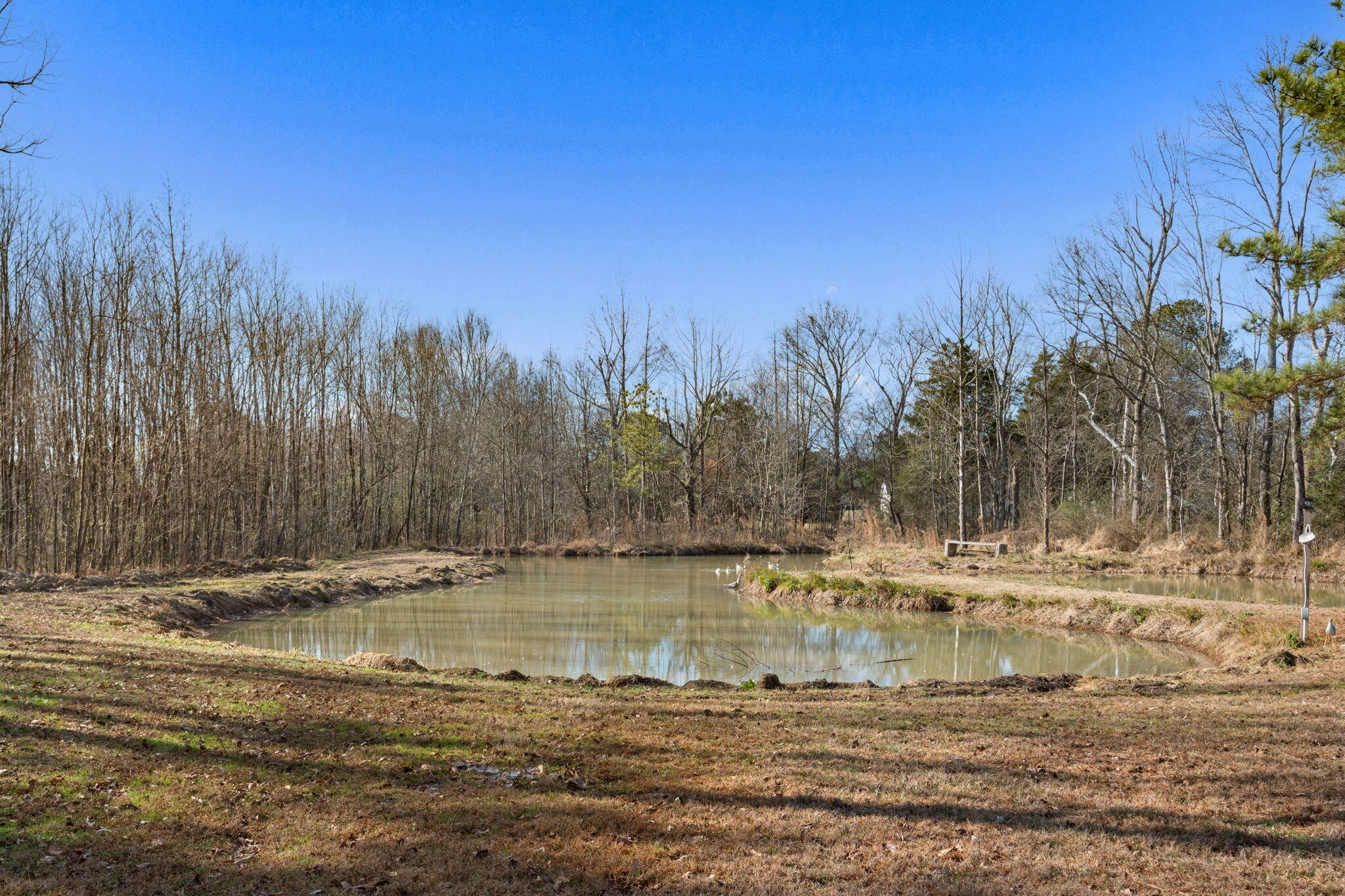4391 Highway 225 Chatsworth, GA 30705 - Photo 2 of 41 40-web-or-mls-Chatsworth-Misty N-40