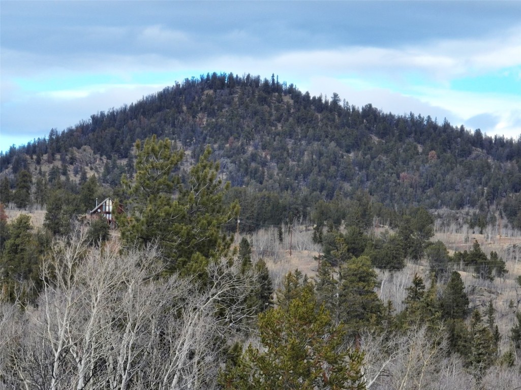 82 Ignacio Way Como, CO 80456 - Photo 14 of 17 Gallery Image 14