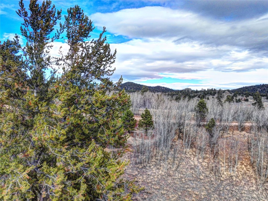 82 Ignacio Way Como, CO 80456 - Photo 6 of 17 Gallery Image 6
