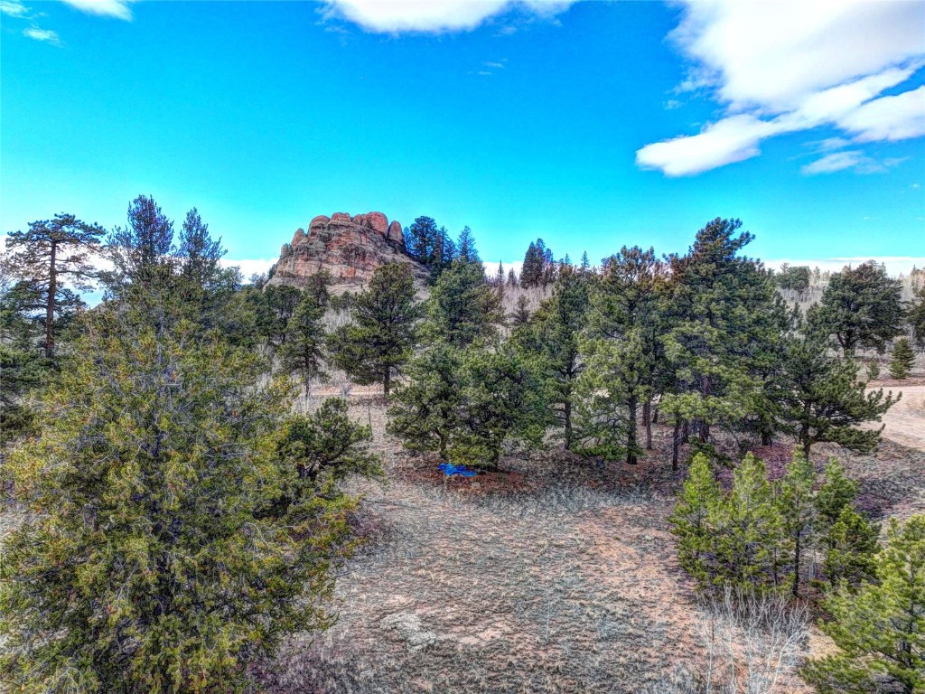 82 Ignacio Way Como, CO 80456 - Photo 7 of 17 Gallery Image 7