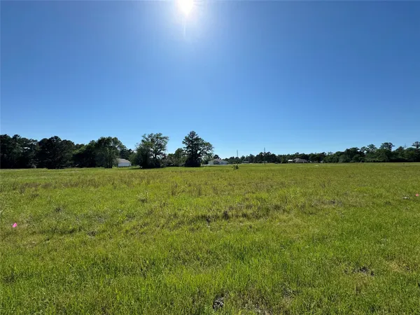 $2,500 | 20 Sandy Springs, Trinity, TX 75862