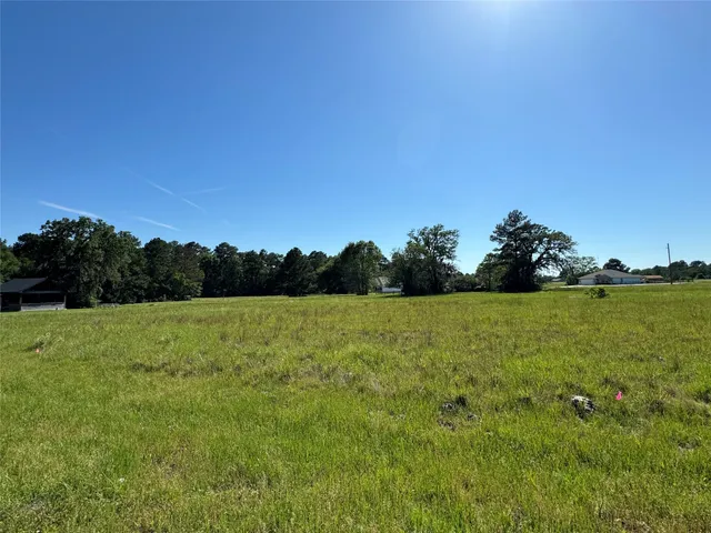 $2,500 | 20 Sandy Springs, Trinity, TX 75862