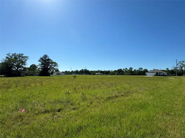 $2,500 | 20 Sandy Springs, Trinity, TX 75862