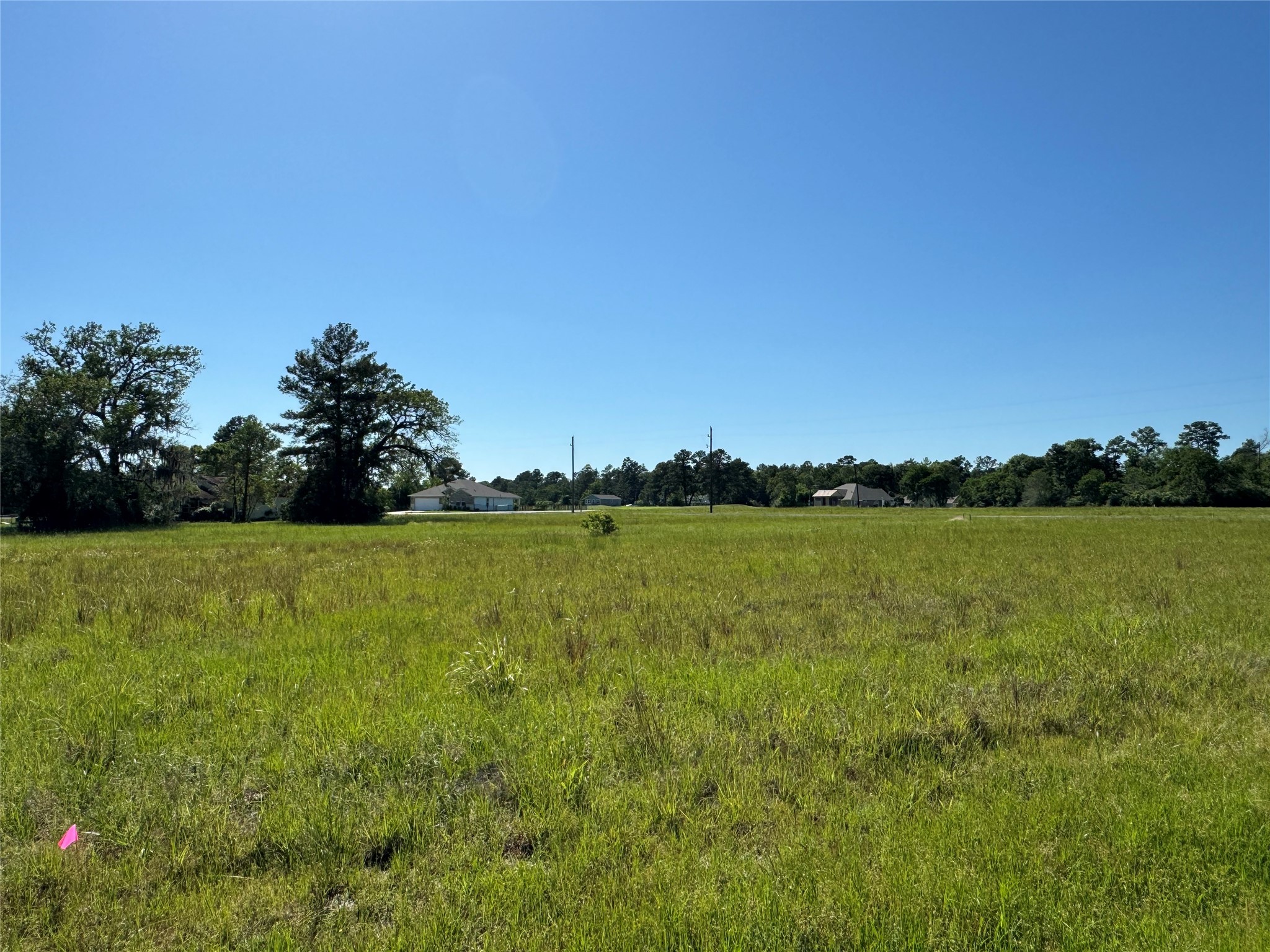 20 Sandy Springs Trinity, TX 75862 - Photo 4 of 6