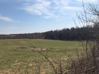 999 Chestnut Grove Road Brodhead, KY 40409 - Photo 2 of 5 Listing Photo