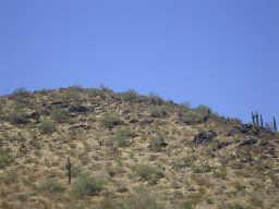 470 West Elliot Road Laveen, AZ 85339 - Photo 1 of 5 Primary Photo