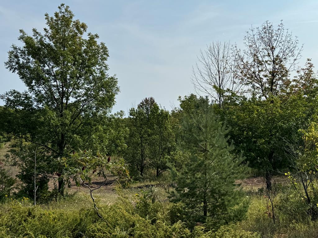 Lot 4 Division Road Egg Harbor, WI 54209 - Photo 11 of 13 Gallery Image 11