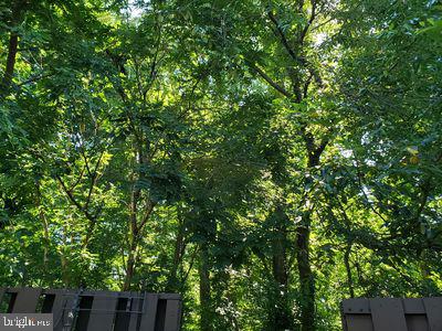 1329 Northgate Square Reston, VA 20190 - Photo 29 of 36 Trees behind House