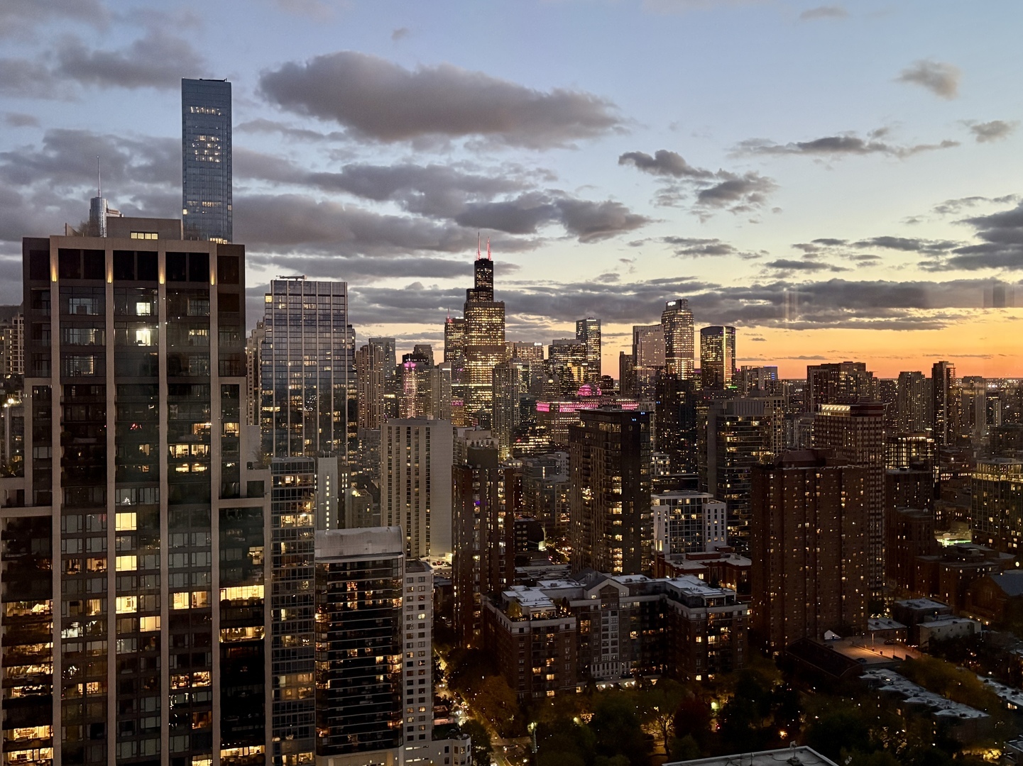 1030 North State Street, Unit 35K Chicago, IL 60610 - Photo 15 of 28 a city view