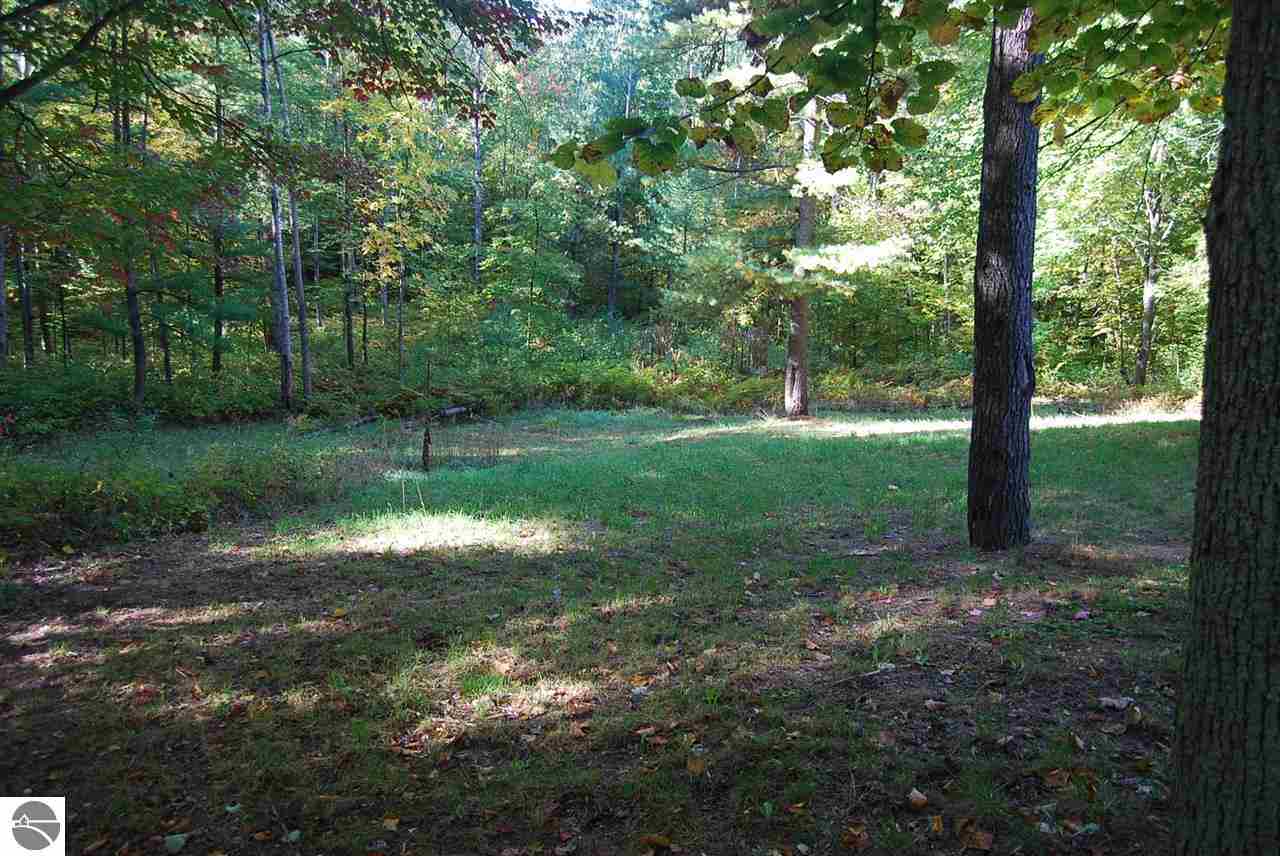4087 West 4 Road Buckley, MI 49620 - Photo 14 of 53 1776868-13.JPG