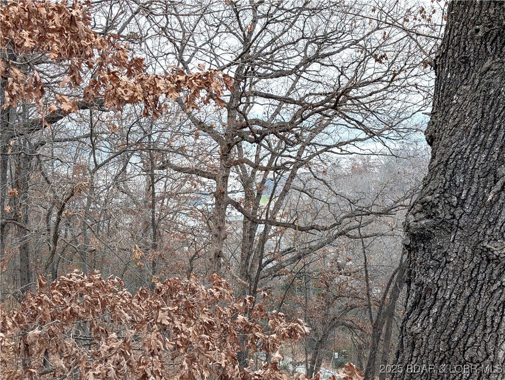 722 Riley Ridge Road Linn Creek, MO 65052 - Photo 31 of 51