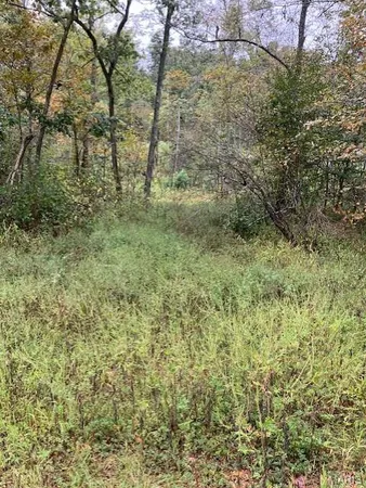 $21,995 | 162 Madison Cr, Fredericktown, MO 63645