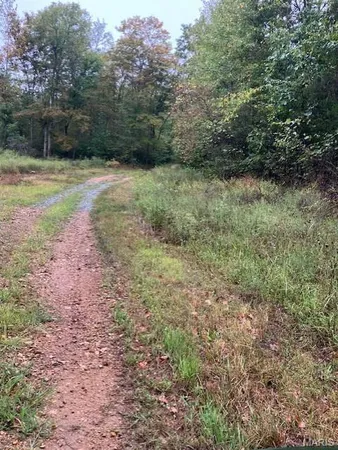 $21,995 | 162 Madison Cr, Fredericktown, MO 63645