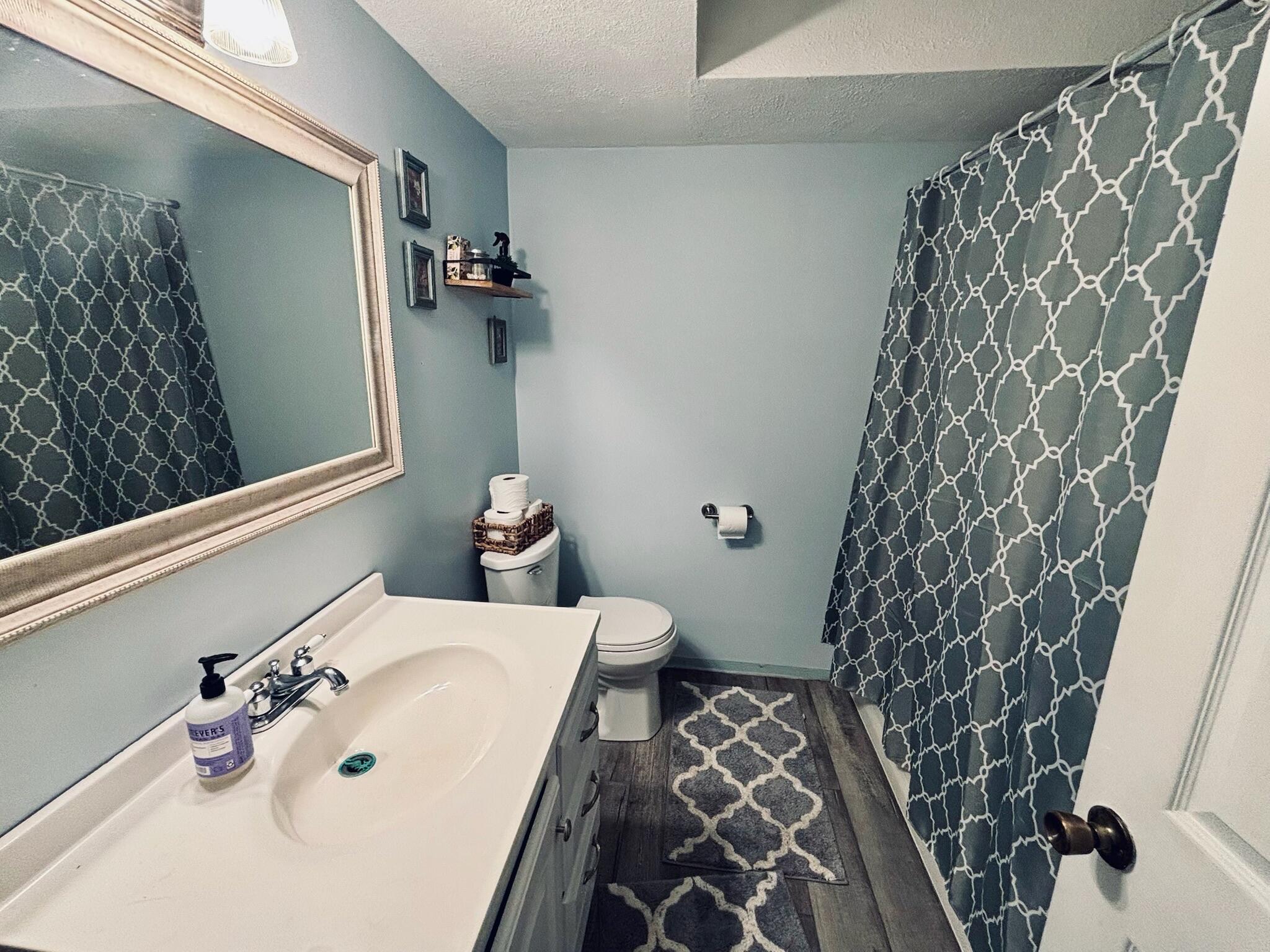 6097 Johnson Road Greenville, MI 48838 - Photo 17 of 22 Lower Level Bathroom