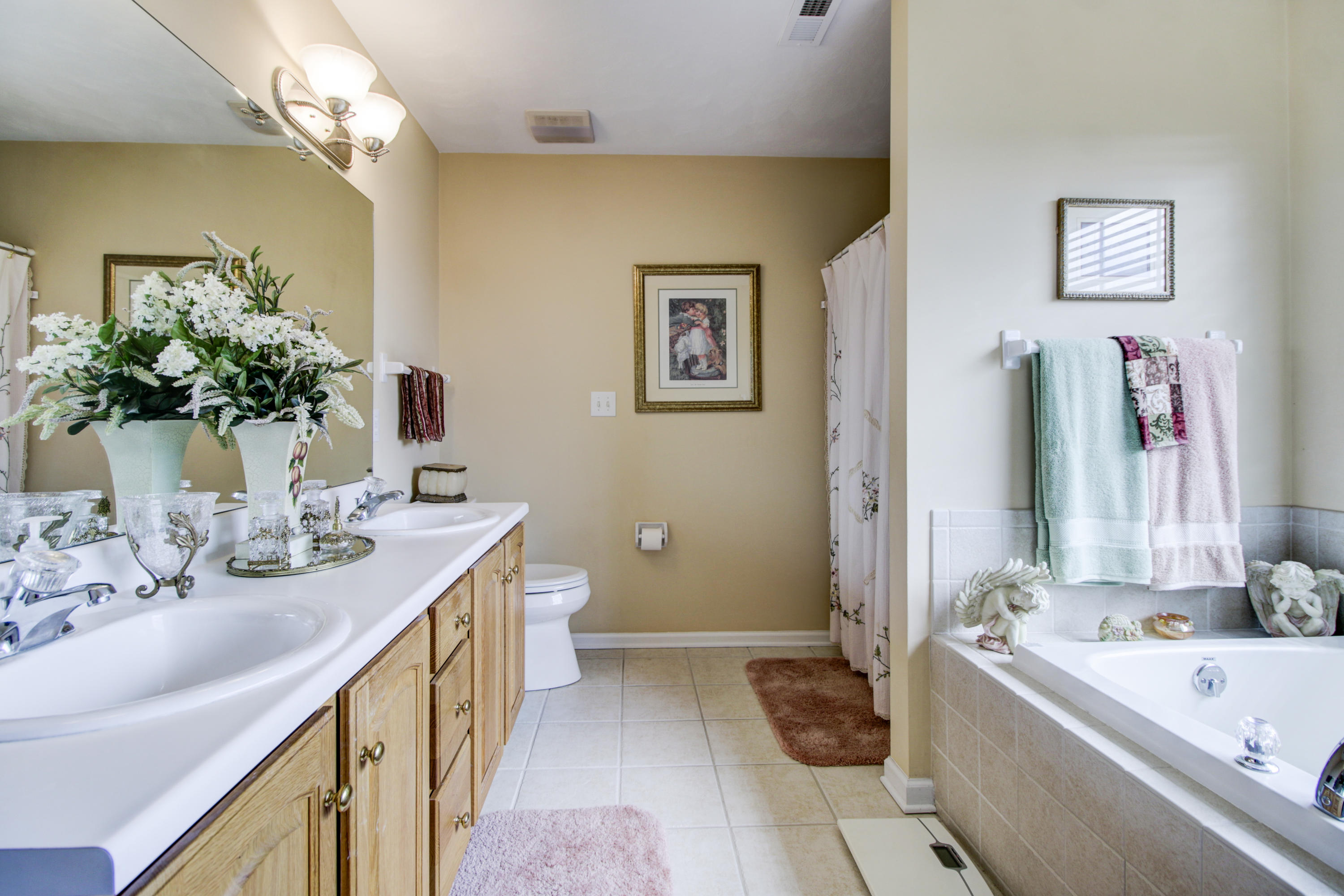 616 Castleridge Road Vinton, VA 24179 - Photo 23 of 36 _MG_0075_6_7_8_9Interior
