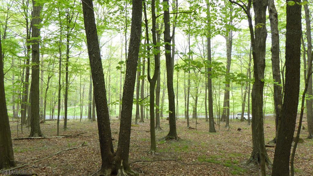 Off Off Black Valley Road Clearville, PA 15535 - Photo 2 of 22 a view of an outdoor space view