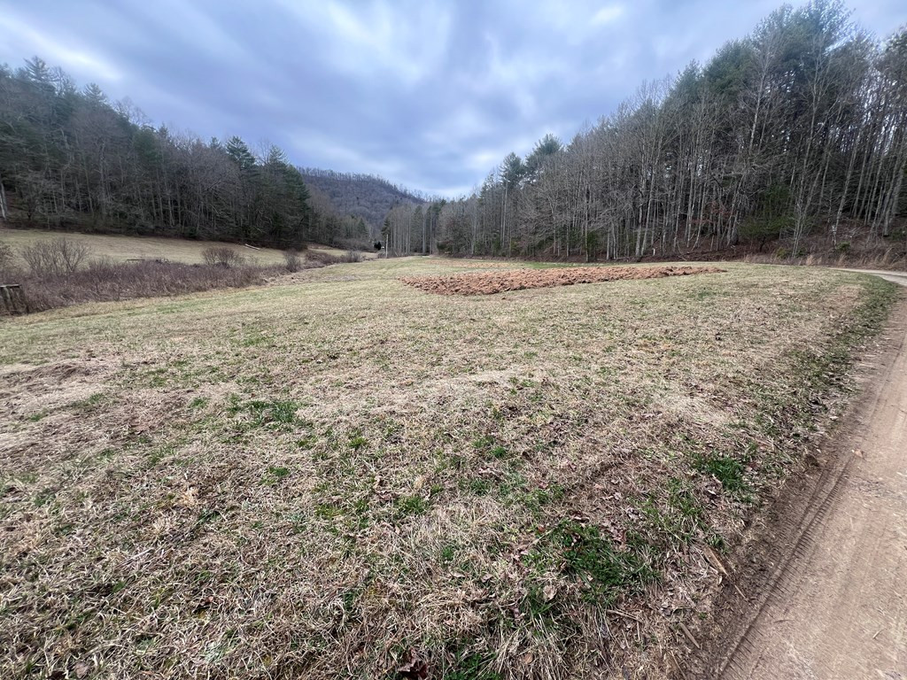 1-2 Graves Road Murphy, NC 28906 - Photo 12 of 12