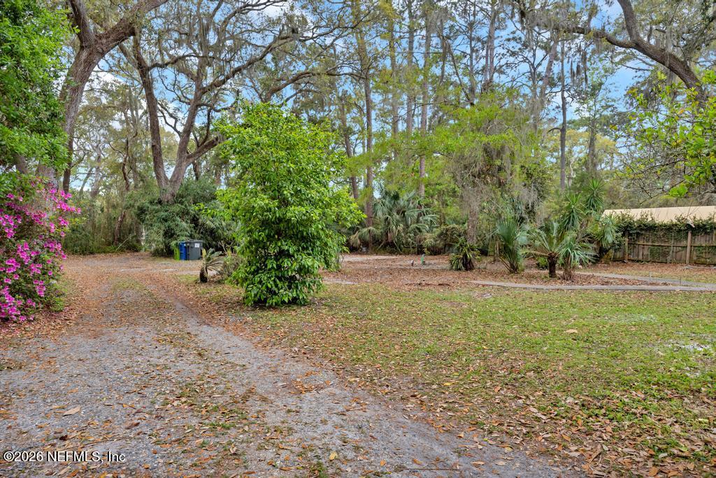 4634 Whimbrel Lane Fernandina Beach, FL 32034 - Photo 32 of 42 a view of a yard with plants and trees