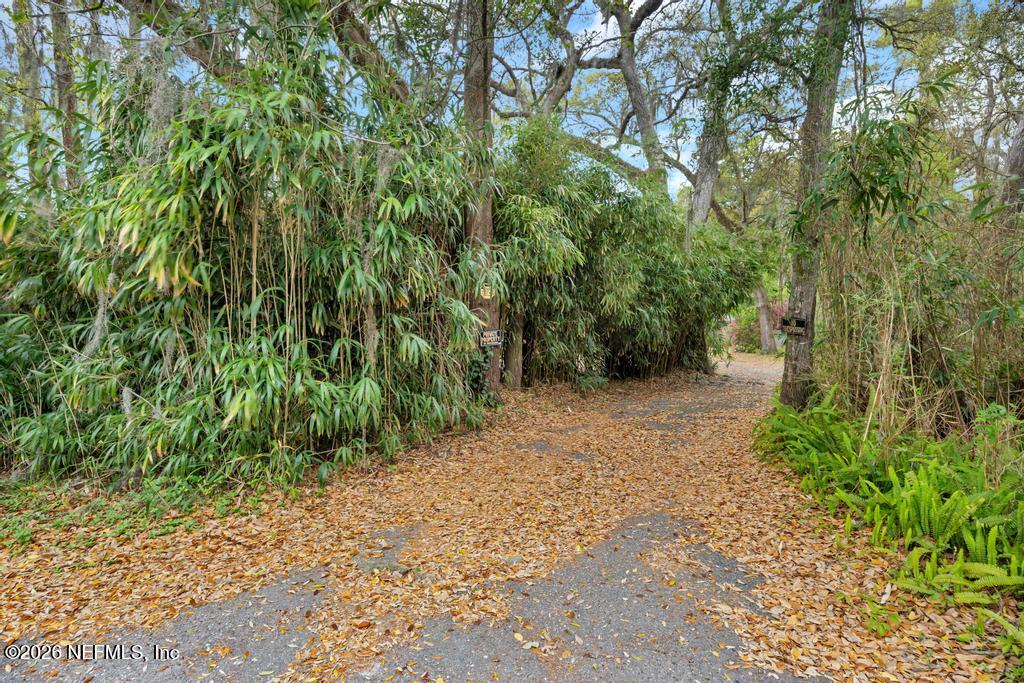 4634 Whimbrel Lane Fernandina Beach, FL 32034 - Photo 42 of 42 a view of a yard with plants and large trees
