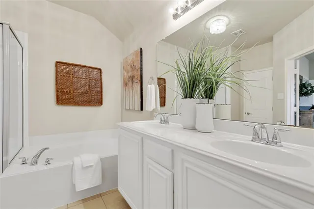 a bathroom with a sink a mirror and a bathtub