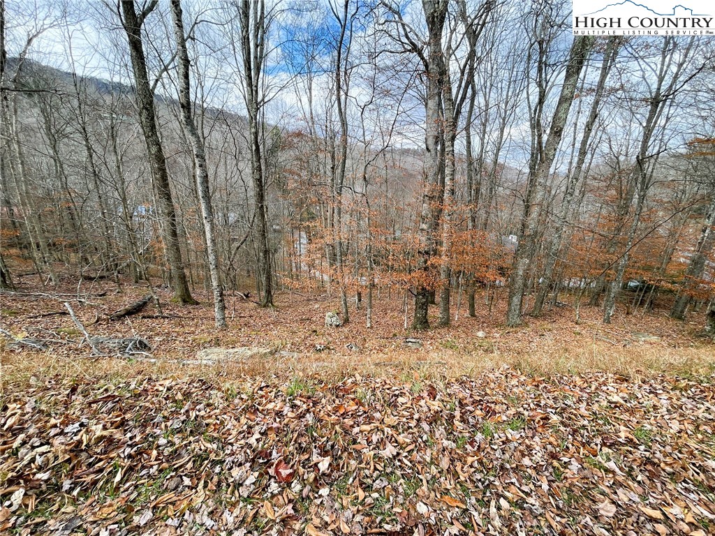 121 Shagbark Road Beech Mountain, NC 28604 - Photo 2 of 5 a view of a yard with large trees