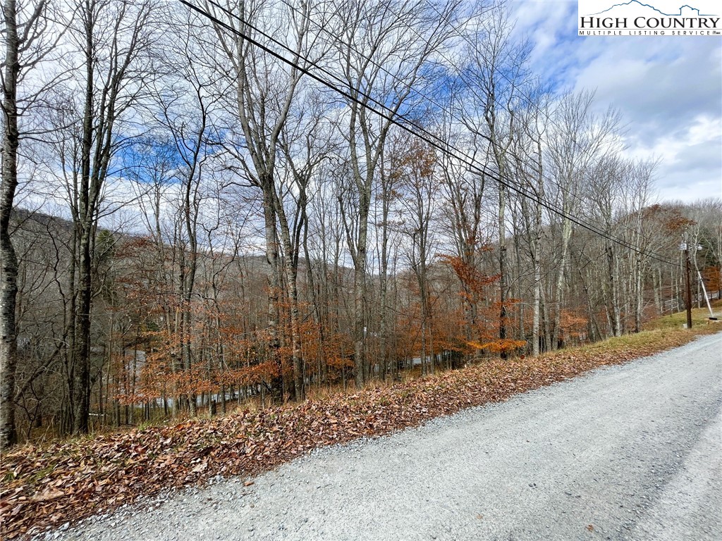 121 Shagbark Road Beech Mountain, NC 28604 - Photo 4 of 5 a backyard of a house with lots of green space