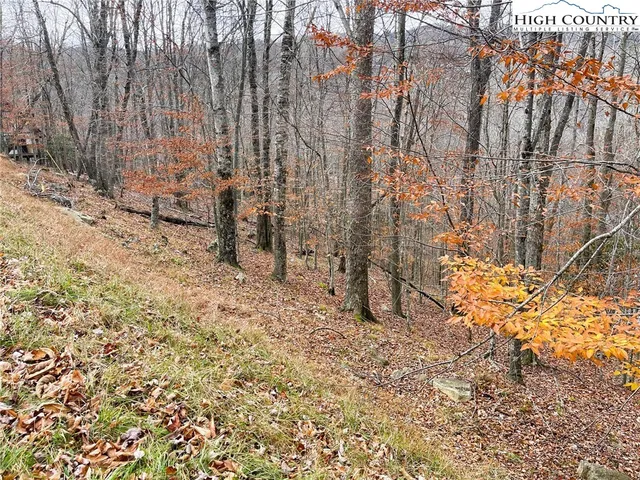 a view of backyard with wooden fence