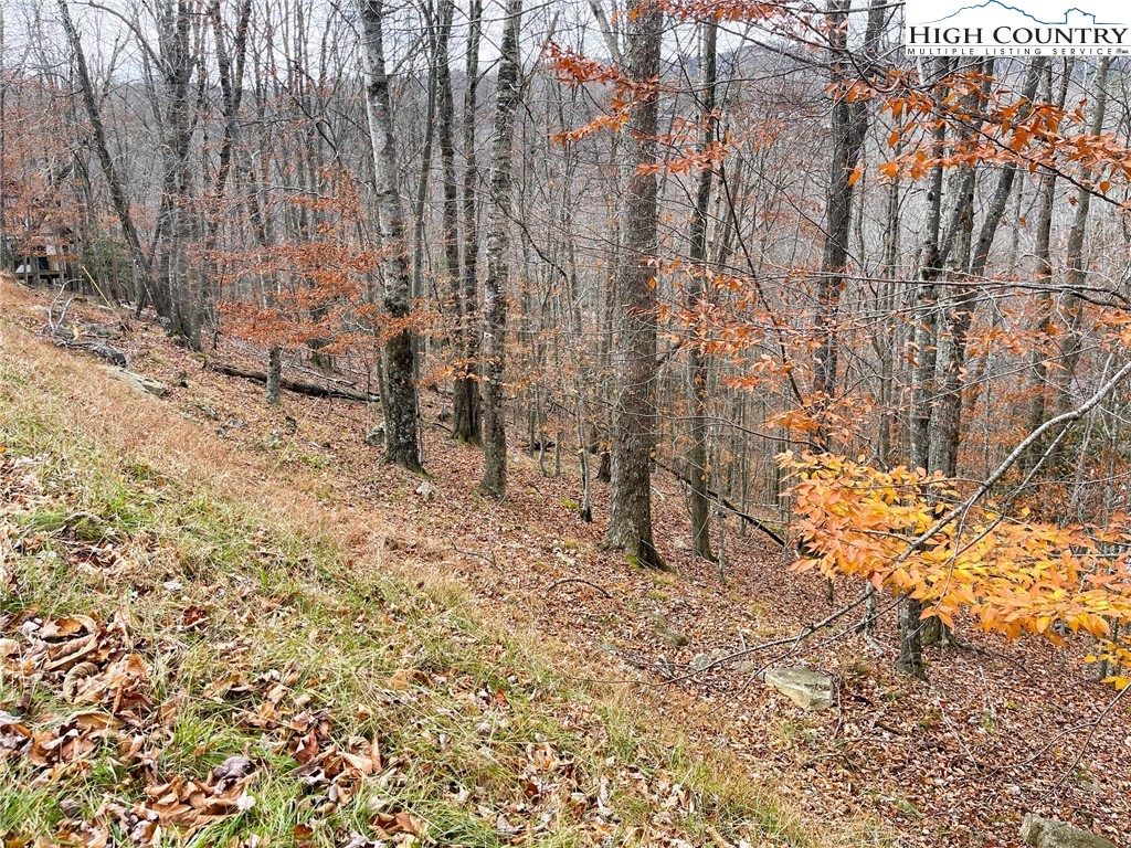 121 Shagbark Road Beech Mountain, NC 28604 - Photo 5 of 5 a view of backyard with wooden fence
