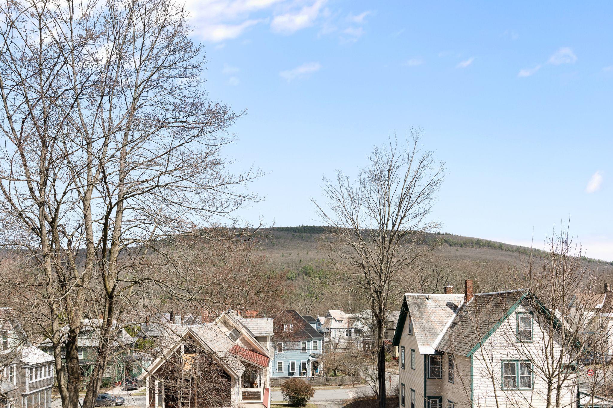 119 Forest Street Brattleboro, VT 05301 - Photo 33 of 45