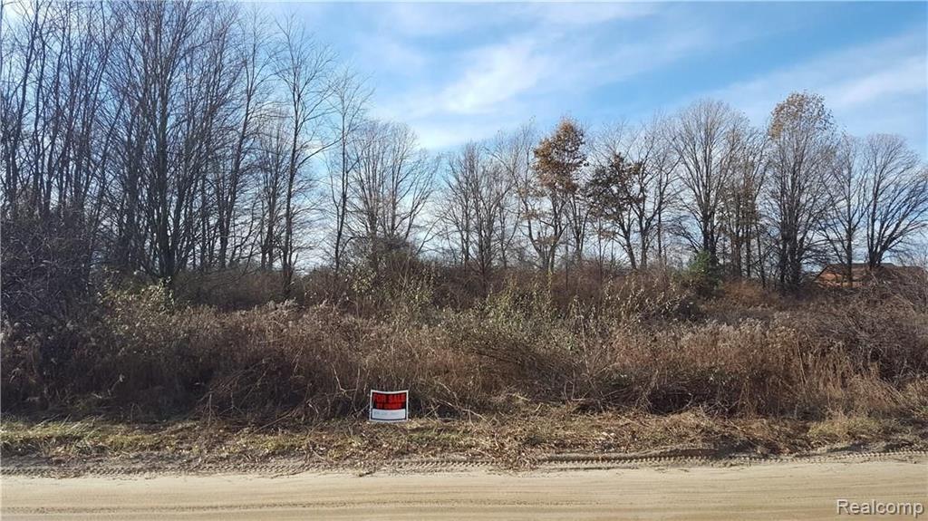 0 Colstream Road Dryden, MI 48428 - Photo 2 of 6