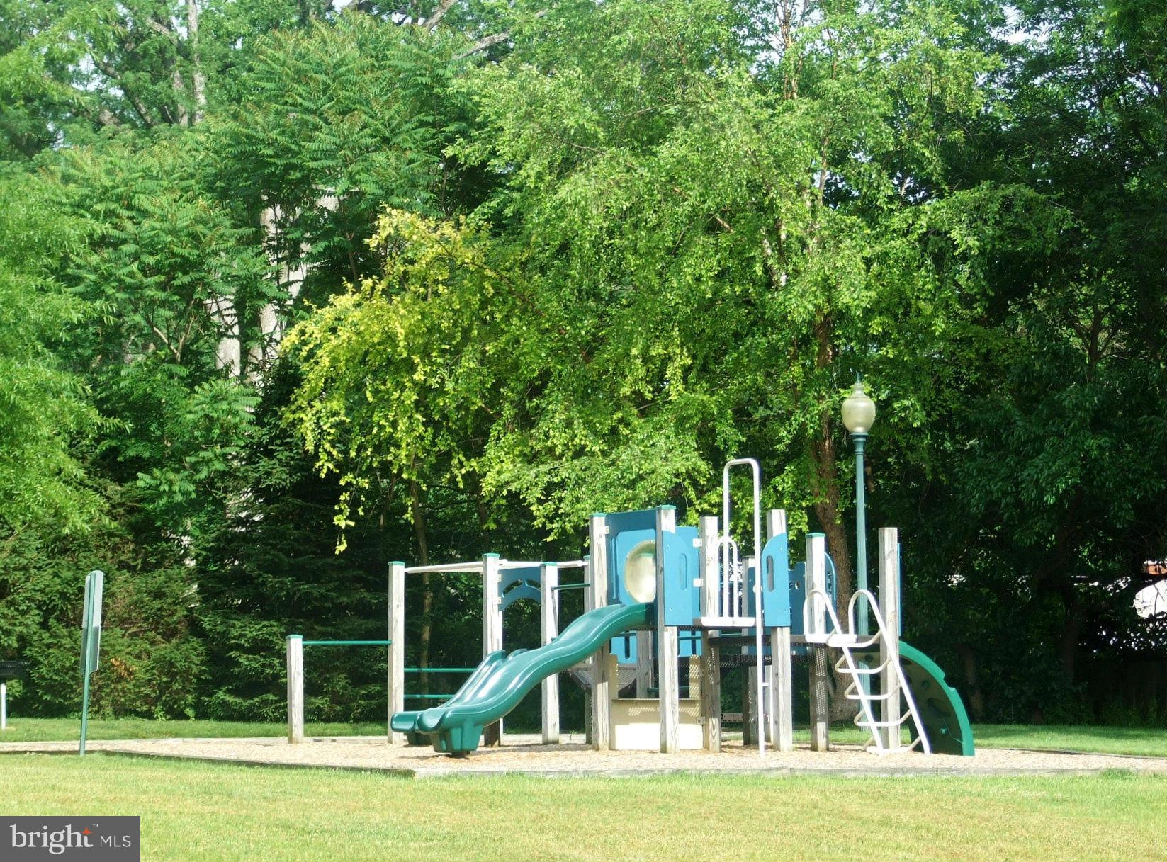 11349 King George Drive, Unit 10 Silver Spring, MD 20902 - Photo 18 of 20 a view of a swimming pool with a large trees and plants