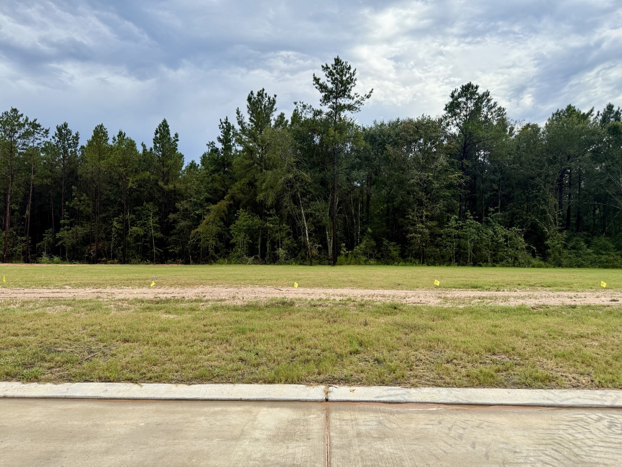 41885 Wendele Way Montgomery, TX 77316 - Photo 27 of 27 a view of a swimming pool with an outdoor space and seating area