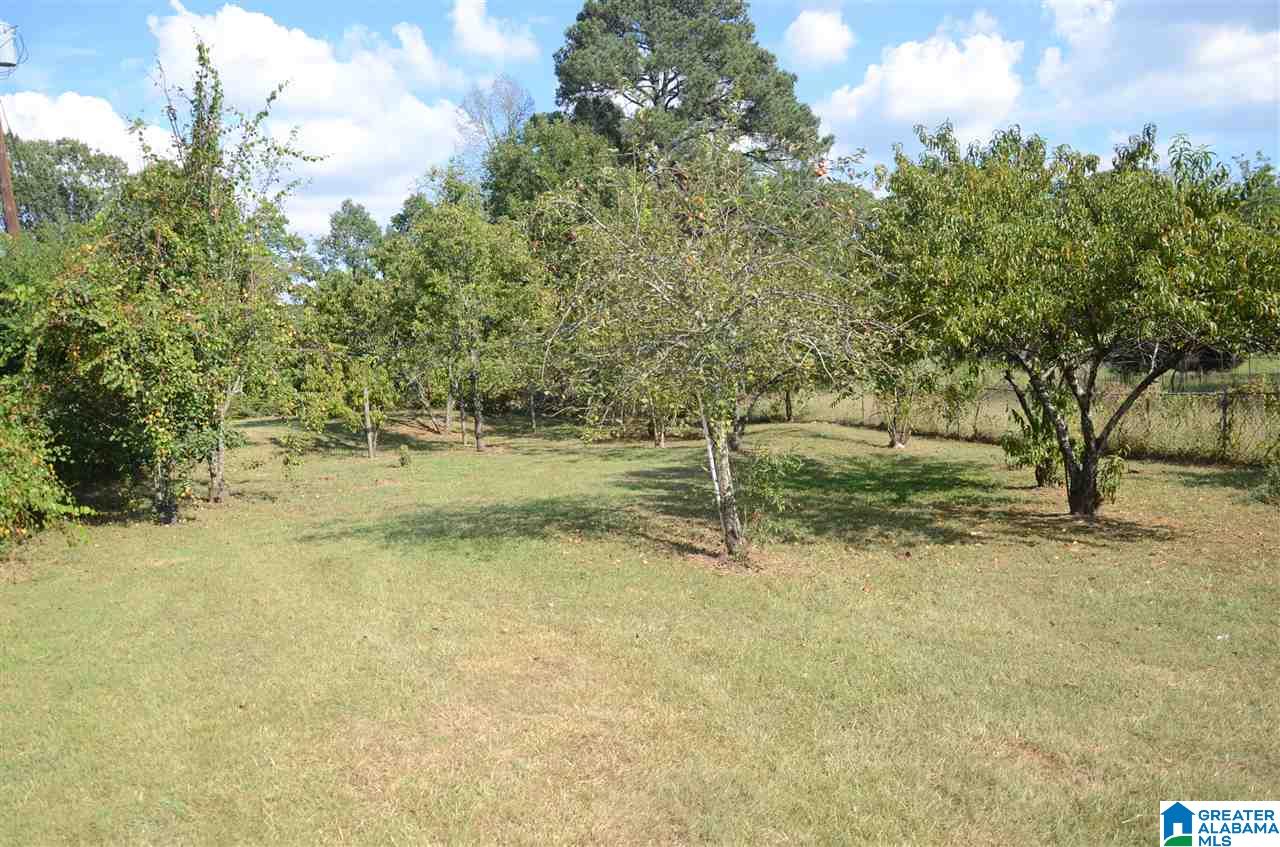 414 Rock Creek Road Mulga, AL 35118 - Photo 6 of 16