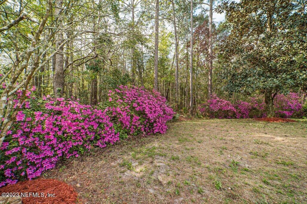 1257 Splendid Ravine Street St. Augustine, FL 32092 - Photo 38 of 52 Back Yard