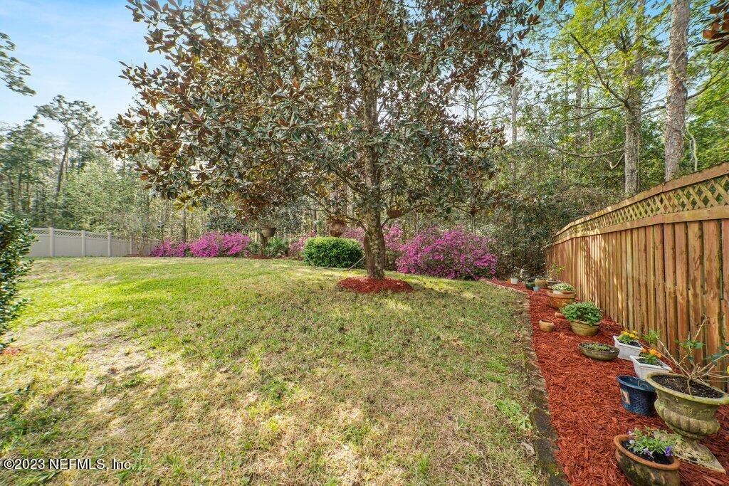 1257 Splendid Ravine Street St. Augustine, FL 32092 - Photo 40 of 52 Back Yard
