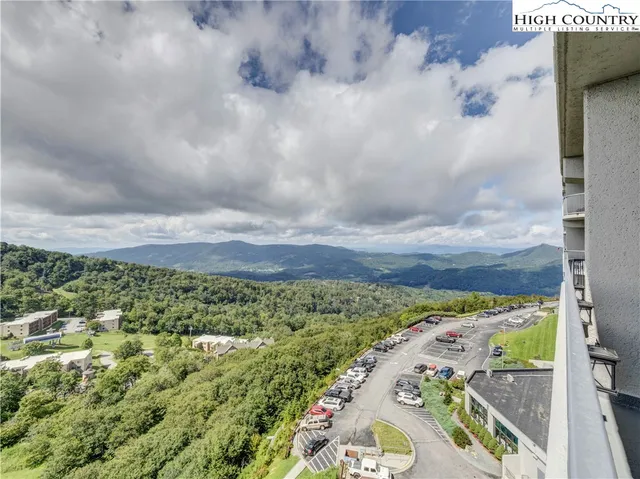 a view of a pathway with a yard