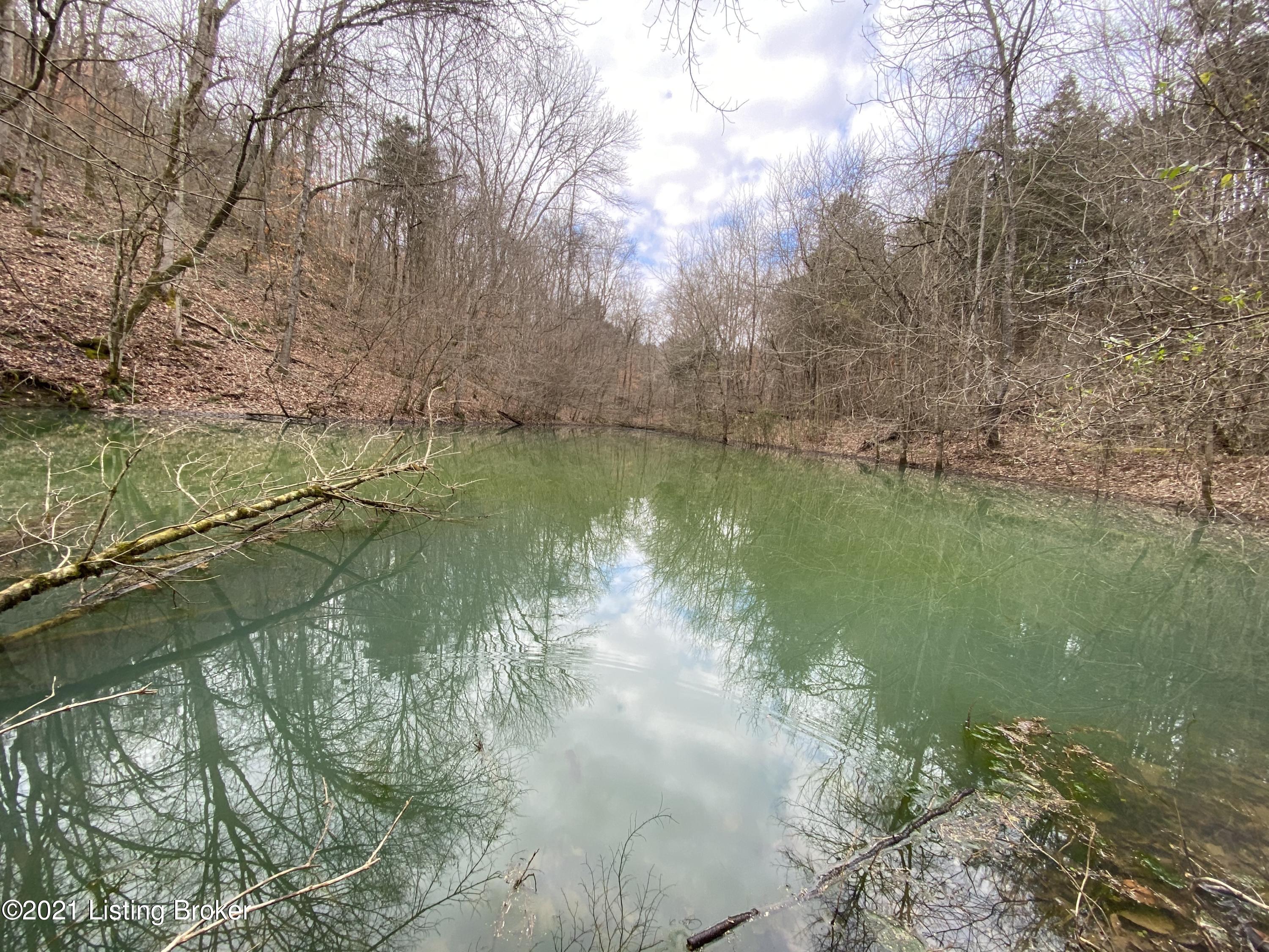 210 Ward Branch Road Tompkinsville, KY 42167 - Photo 1 of 1 pond